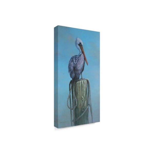 Michael Jackson 'Pelican Perch' Canvas Art,16x32